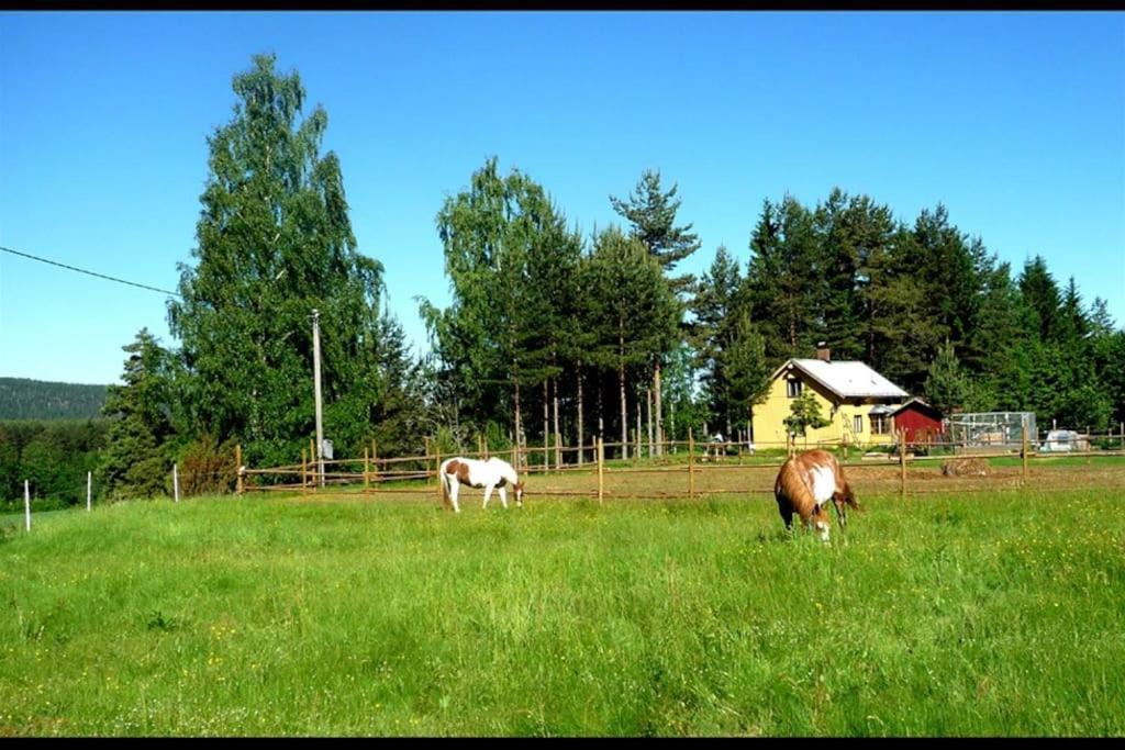 Little Forest House "Our Little Farm" Ekshärad المظهر الخارجي الصورة