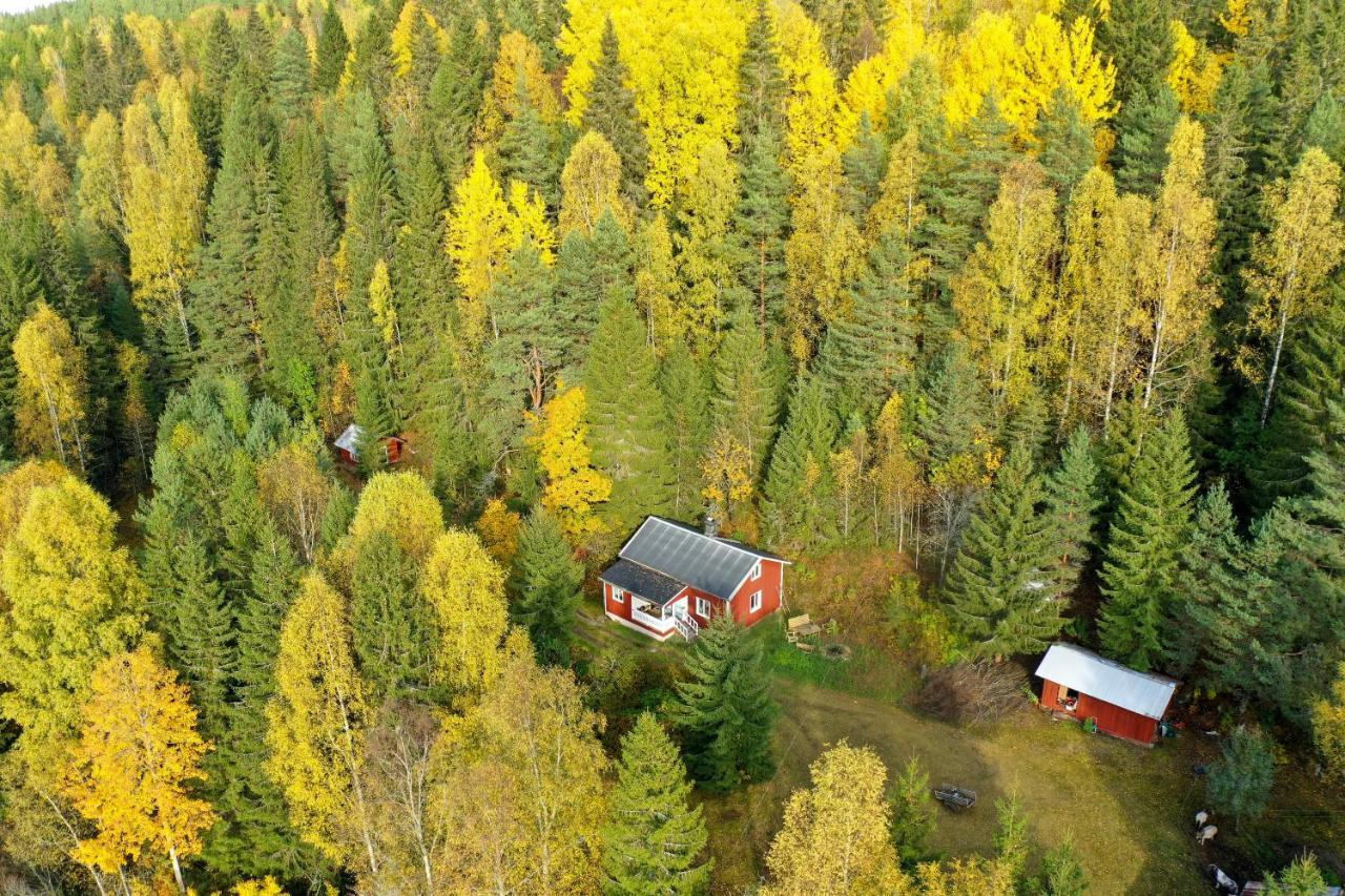 Little Forest House "Our Little Farm" Ekshärad المظهر الخارجي الصورة